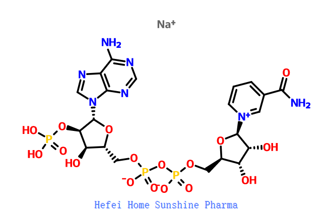 β-ニコチンアミドアデニンジヌクレオチドリン酸ナトリウム塩NADP + Na CAS 1184-16-3