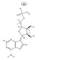 ポリアデノシン酸カリウム塩 CAS 26763-19-9